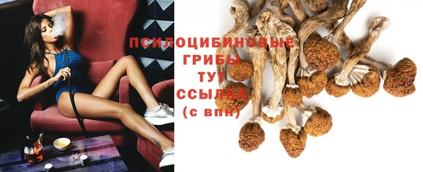 крисы Арсеньев