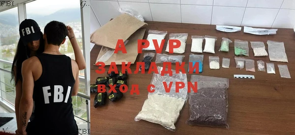 крисы Баксан