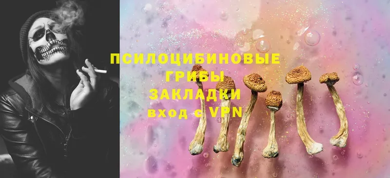 Псилоцибиновые грибы Psilocybine cubensis  цена   Белово 