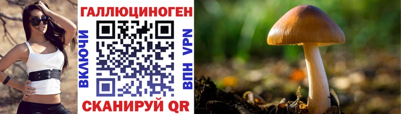 где купить наркотик  Белово  Галлюциногенные грибы Psilocybe 