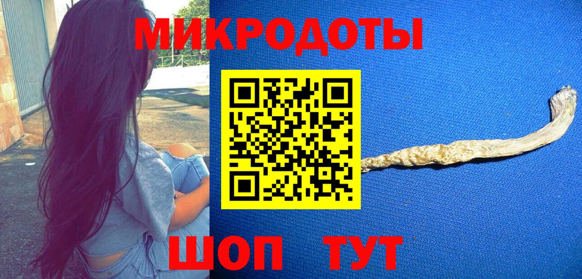 Галлюциногенные грибы Cubensis Белово