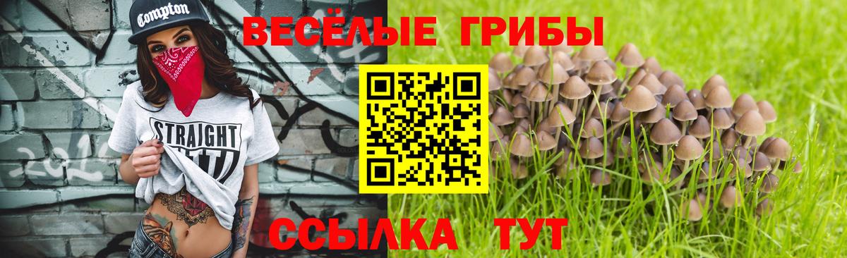 Белово  Галлюциногенные грибы Magic Shrooms  Вход с VPN 